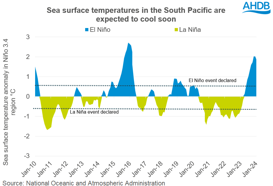 A graph showing Nino 3.4 temperatures